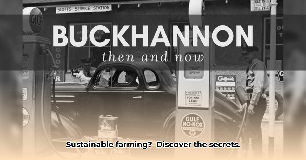 tractor-supply-buckhannon-wv